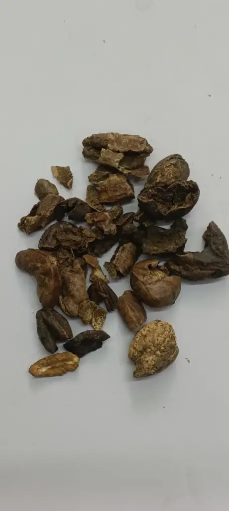 HARAD POWDER - 100gm