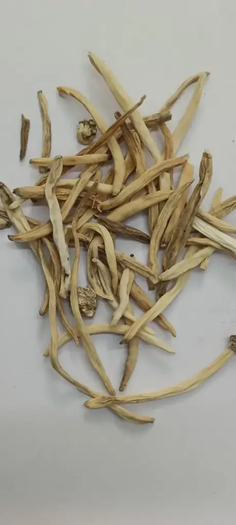 SAFED MUSLI  - 100 gm