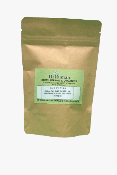 SATAVAR POWDER - 100gm
