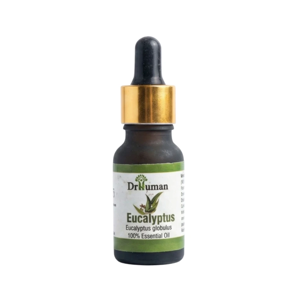 EUCALYPTUS OIL