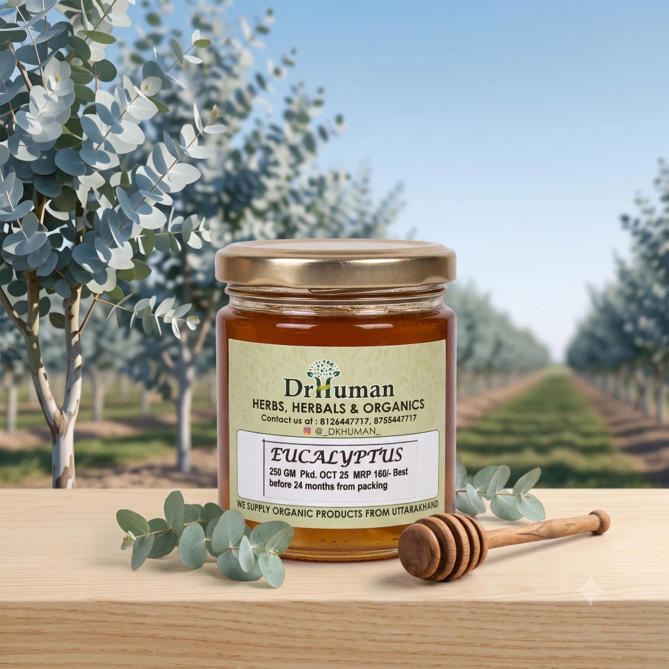 Eucalyptus Honey