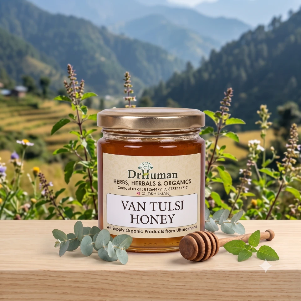 Van Tulsi Honey