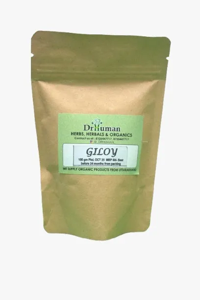 GILOY POWDER - 100GM