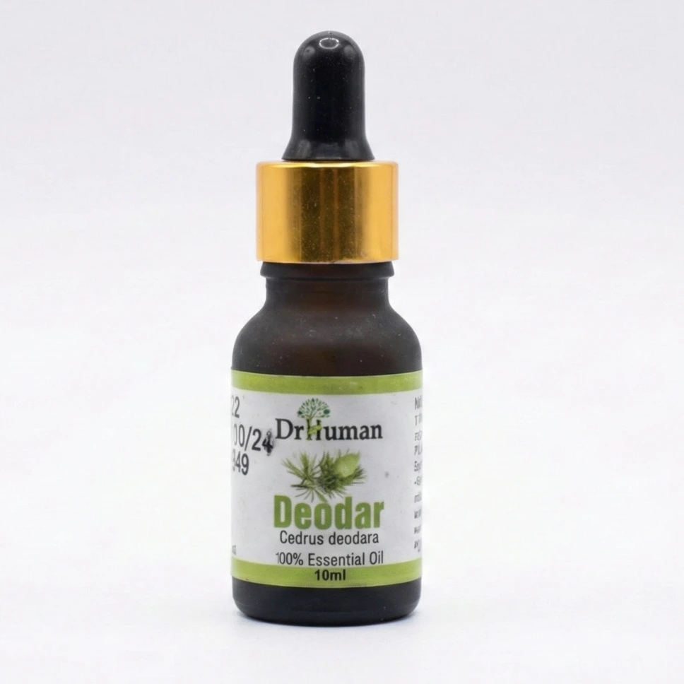 DEODAR / CEDAR OIL - 10 ml